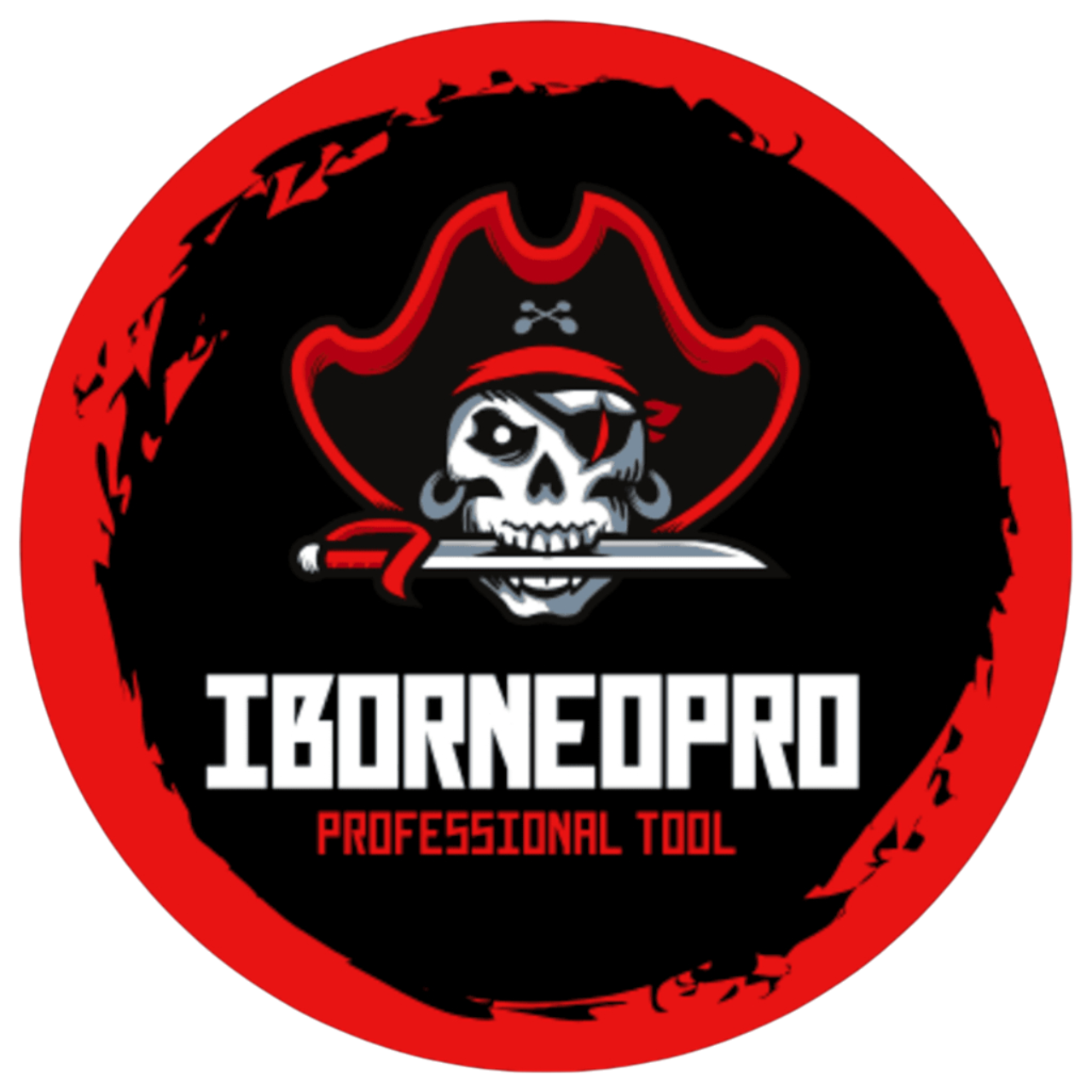 iborneo logo